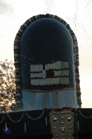 20090609 Photo 2418 1RwlAZRXxoIeH9OHIS3XvVtiv2vnxczie.JPG