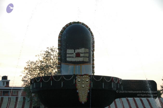 20090609 Photo 2419 1NYNjE9p6ZNWbqBWBfbR5brxTSDVWngYe.JPG