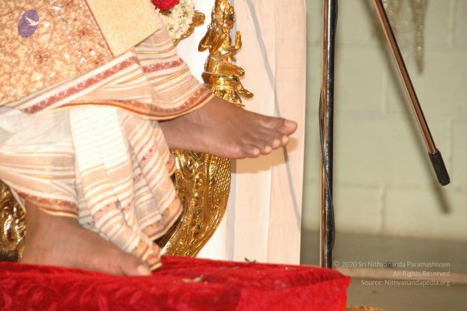 20090609 Photo 2520 1Ewkl61ikyAScRYnjp3TVpGYHuqXQyyVN.JPG