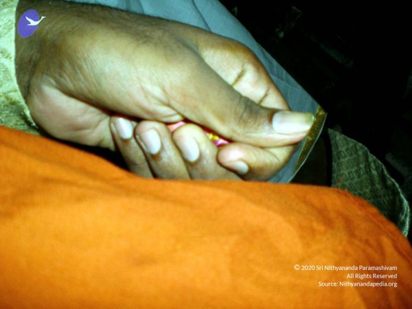 20090610 DSCN2856 CMP WM11011.jpg