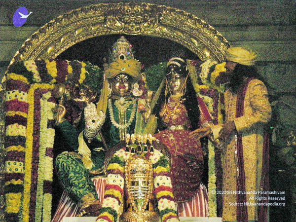 20090610 DSCN2889 CMP WM11011.jpg