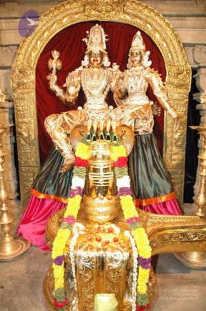 20090613 Photo 1229 1Mt44CAFcjFK5bvVotpuHhhetA8lWtaOj.JPG