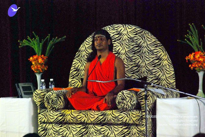 20090615 DSC 0078 CMP WM11011.jpg