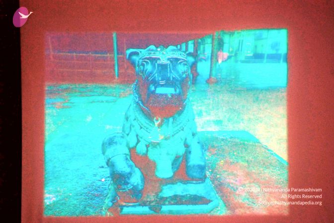 20090615 DSC 0175 CMP WM10000.jpg