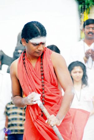 20090615 DSC 0408 CMP WM1.jpg