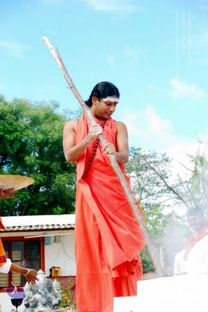 20090615 DSC 0473 CMP WM1.jpg