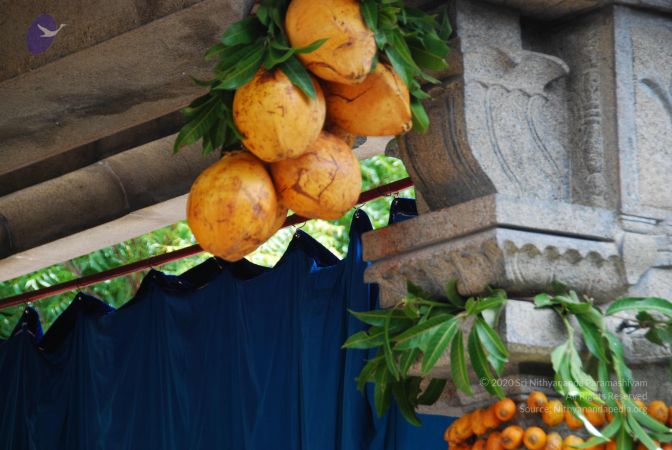 20090615 Photo 1415 1-rqLj0n9s2oLX4vl3oH55BUpnIZAkghk.JPG