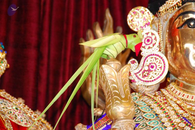 20090617 Photo 1136 1CO8NpFdOiG3td5GPUxL2FRpO1MMLnFRl.JPG