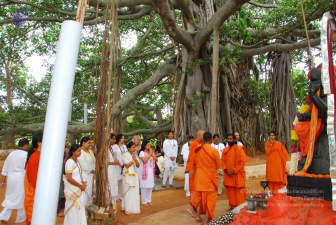 20090617 Photo 1250 1Z6BqTw3weyqGfJ0Pxm9Szcypw3puoWkS.JPG