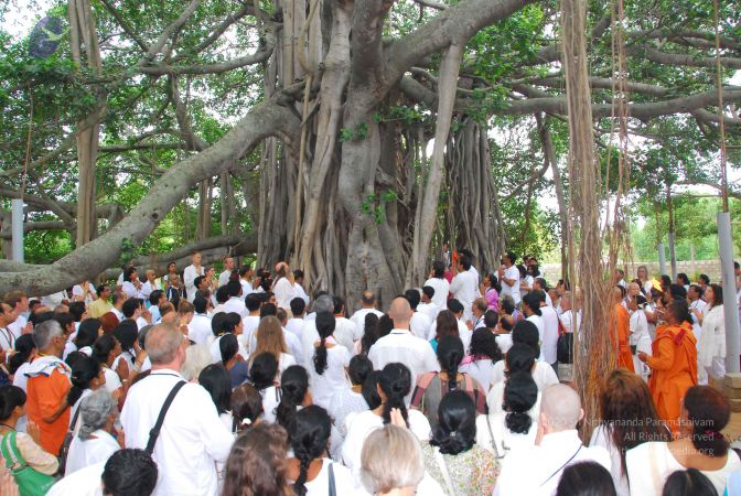 20090617 Photo 1287 1vCEZaYS4mM1Z7LgjEov05kK7fb52utdb.JPG