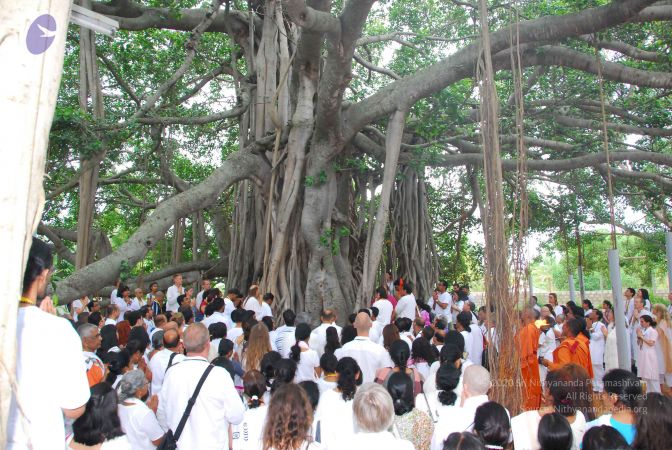 20090617 Photo 1288 1af-FAKo1HteL5oIkTqNRppUt64S2GTpZ.JPG