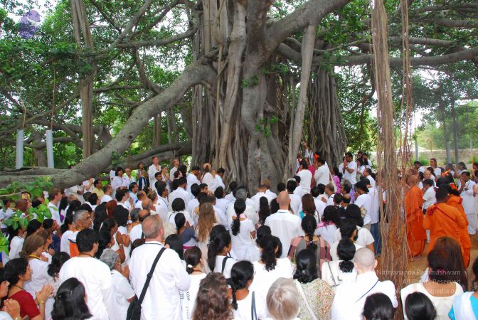 20090617 Photo 1290 1rbmRyM7IlxridMusHsglLwwN-12xirDe.JPG