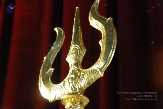 20090619 Photo 1167 1xOtUU70ZZ4wSW1Bn9xm-3IM9svMpMIF1.JPG