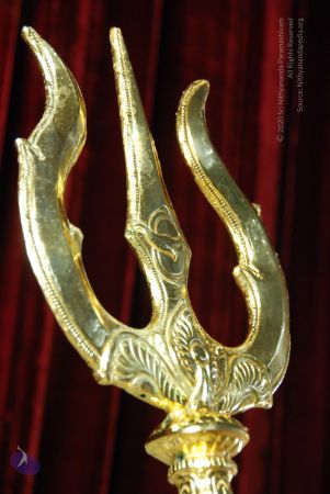 20090619 Photo 1174 1PfWetzBX8mBY76sEEHwsrBXyRwgeD59q.JPG