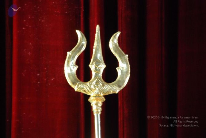 20090619 Photo 1217 106yokoF9s6X4KPG2Fv903qMyUUBx7Si0.JPG