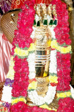 20090621 DSC 0066 CMP WM1.jpg