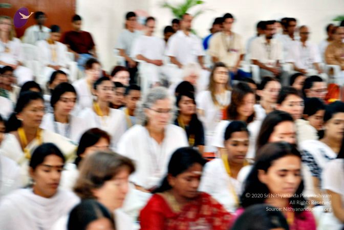 20090622 DSC 0008 CMP WM01.jpg