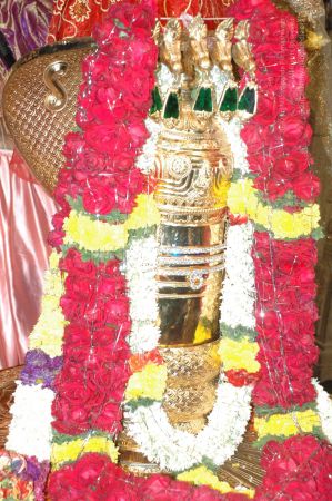 20090625 Photo 1162 1bGJ24wzJjt2-p Z7sccStjvi9biFWKRm.JPG