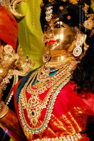 20090627 DSC 0102 CMP WM 33.jpg