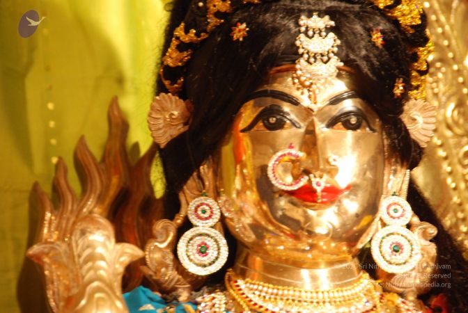 20090627 Photo 1014 1w5le86iB2HYElbya-5cnI8jqb2GOHepK.JPG