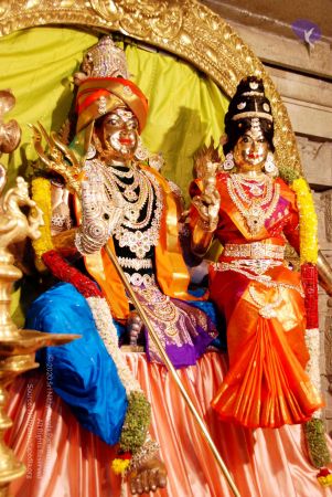 20090628 DSC 0007 CMP WM 33.jpg