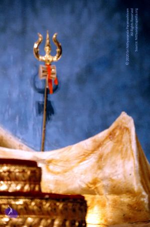 20090629 DSC 0040 CMP WM111.jpg