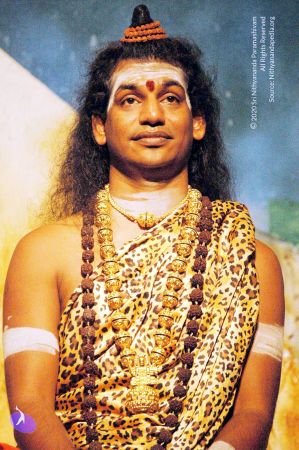 20090629 DSC 0125 CMP WM111.jpg