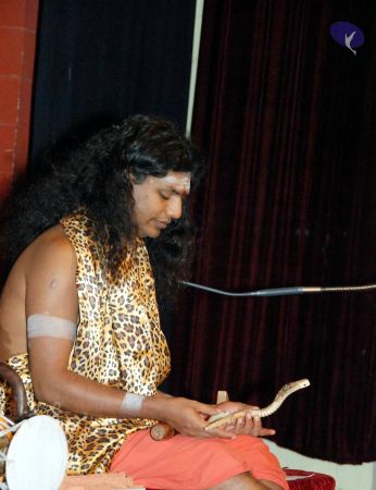 20090629 DSC 0213 CMP WM111.jpg