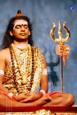 20090629 DSC 0236 CMP WM111.jpg