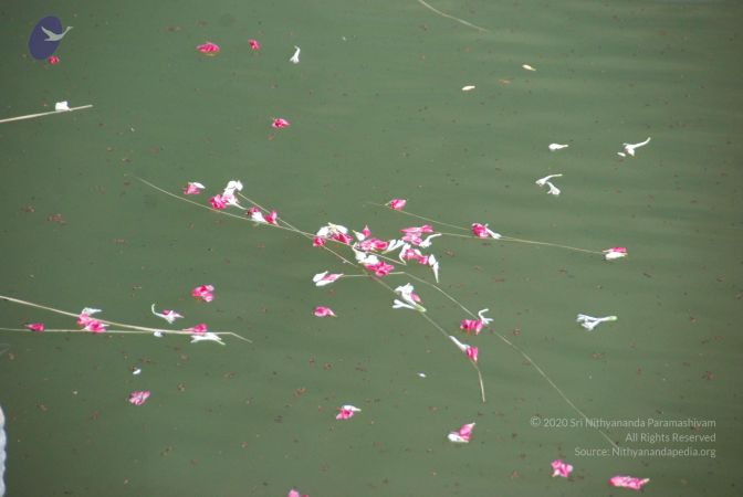 20090701 Photo 1446 1k4LJVuW8eyMOJD-akAe8ik ME7NO2nWE.JPG