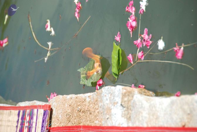 20090701 Photo 1460 1wTyDJ-DzDWmDpxeFewFTYx2gvf- jNcf.JPG