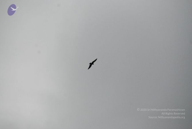 20090701 Photo 1544 1ars1307TMEYRirstJgq3IKoEGAfqzMOR.JPG