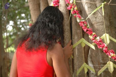 20090707 DSC 0042 CMP WM 01000.jpg