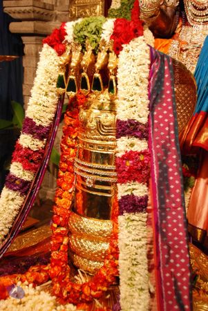 20090707 DSC 0058 CMP WM001.jpg