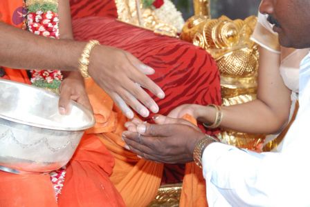 20090707 DSC 0062 CMP WM00010.jpg