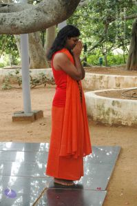 20090707 DSC 0078 CMP WM 01000.jpg