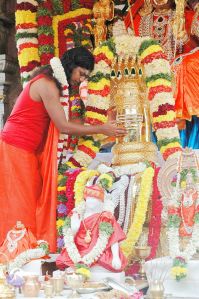 20090707 DSC 0100 CMP WM 01000.jpg