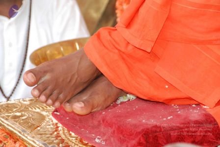 20090707 DSC 0120 CMP WM000001.jpg