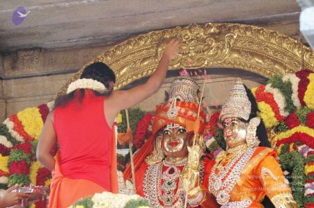 20090707 DSC 0123 CMP WM 01000.jpg