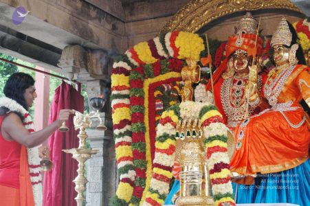 20090707 DSC 0130 CMP WM 01000.jpg