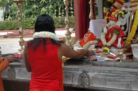 20090707 DSC 0143 CMP WM 01000.jpg