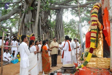 20090707 DSC 0421 CMP WM0001.jpg