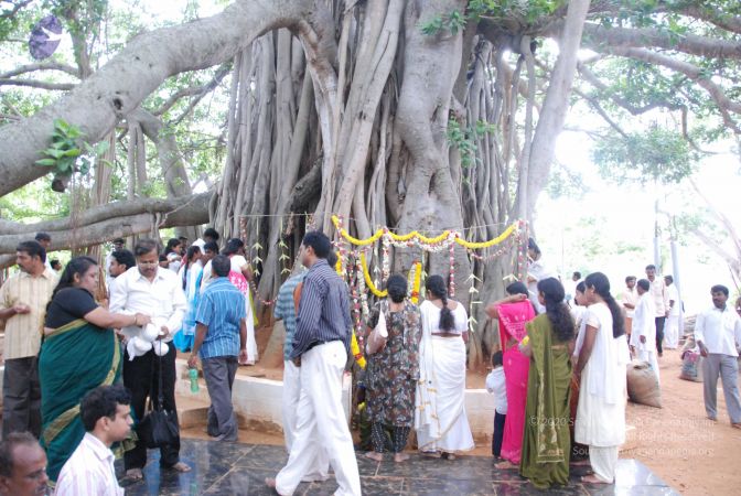 20090707 Photo 1102 18sFbAR3t5NoZpiQ5H5aDg7fI4Mi3XLa0.JPG