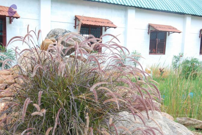 20090707 Photo 1308 1-YKRvwtyw8dToUUz7WKDkxrE8aku9XQw.JPG