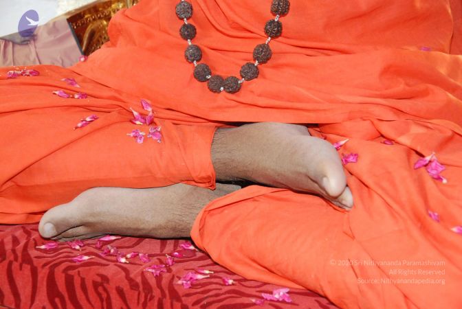 20090708 Photo 1002 1wfDu1yt-gTFT2G7onBIpHLyfShaec6BX.JPG