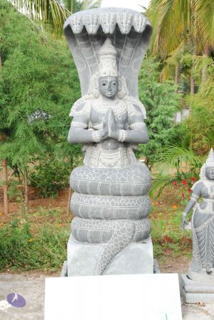 20090708 Photo 1134 1Ls-Futx3T2cmqDCFgMAUFAaXe8cilphu.JPG