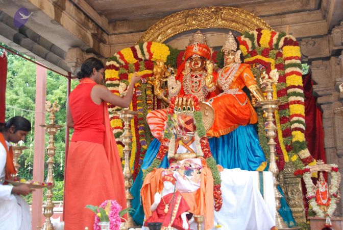 20090708 Photo 1316 13Yzb5FKNgWatgsiMdVi5E4ZKxJ8r6-lp.JPG