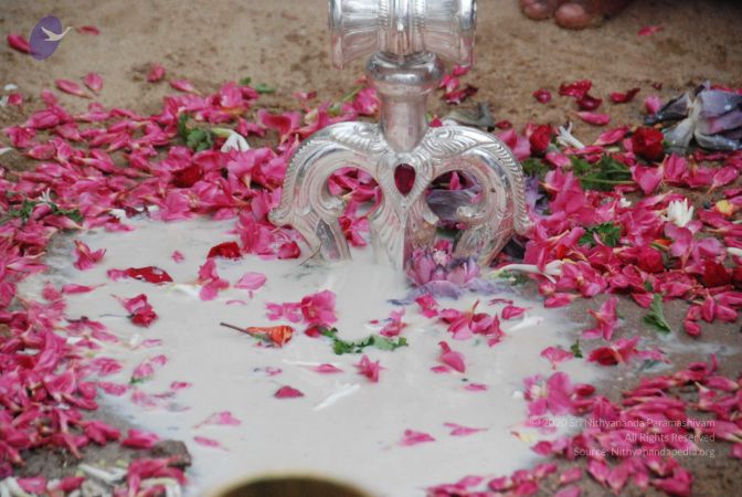 20090708 Photo 1425 1sdXXvgy0v7vEN9JgE-som48OyGSQSaBc.JPG