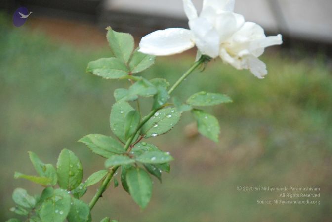 20090709 Photo 1200 1ERRrz 1RtcwagiRcy lVce1eSIBvSW2N.JPG