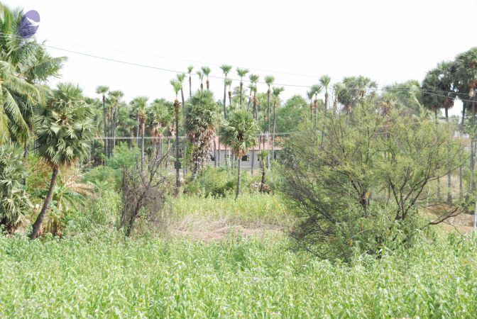 20090710 Photo 1241 1VdLZrWhiBppctQPjT-WAoc78RYoRxupS.JPG